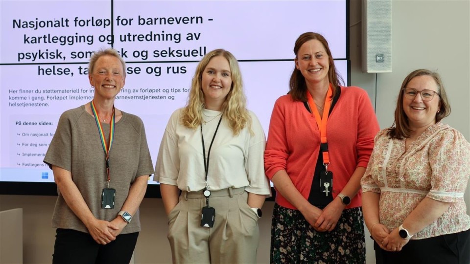 Lenke til artikkel: Nasjonalt forløp for barnevern: Eit felles løft