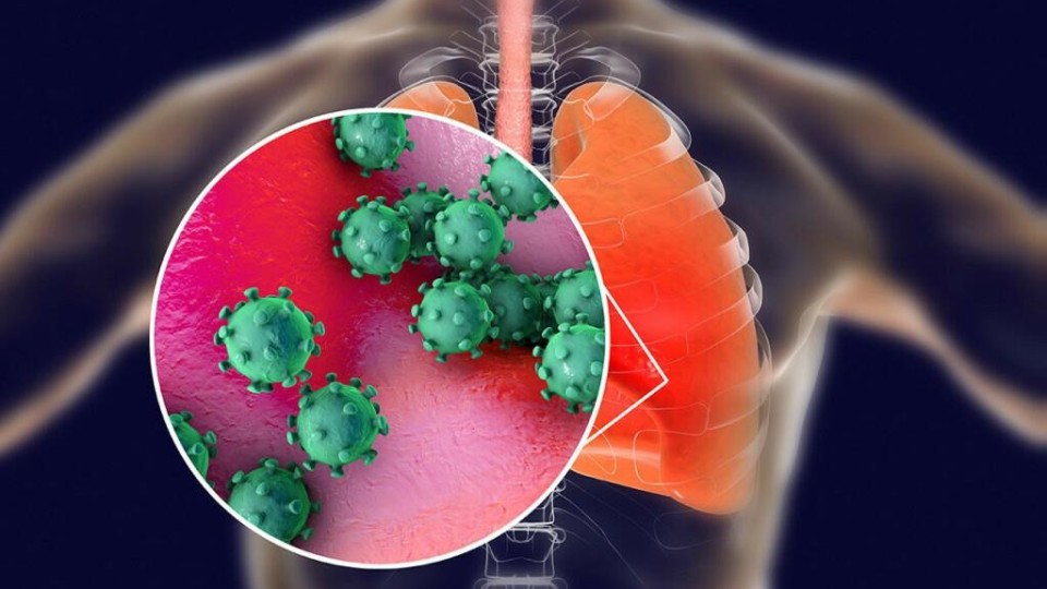 Lenke til artikkel: Råd til foreldre for å minske smitterisikoen ved RS-virus