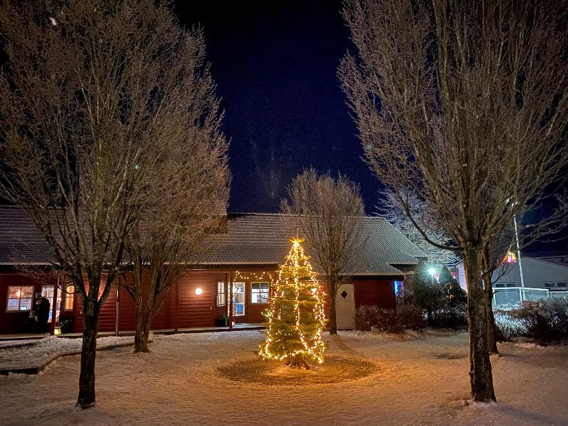 Juletre i barnehagen - Klikk for stort bilde
