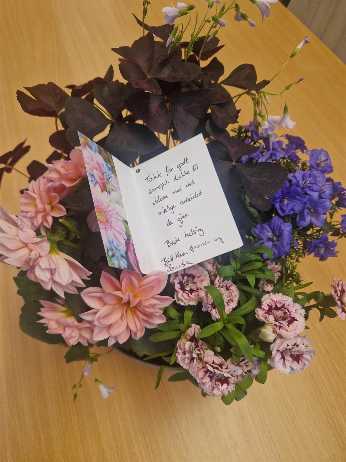 Rosa og blå blomar med kort frå fylkeskommunen - Klikk for stort bilde