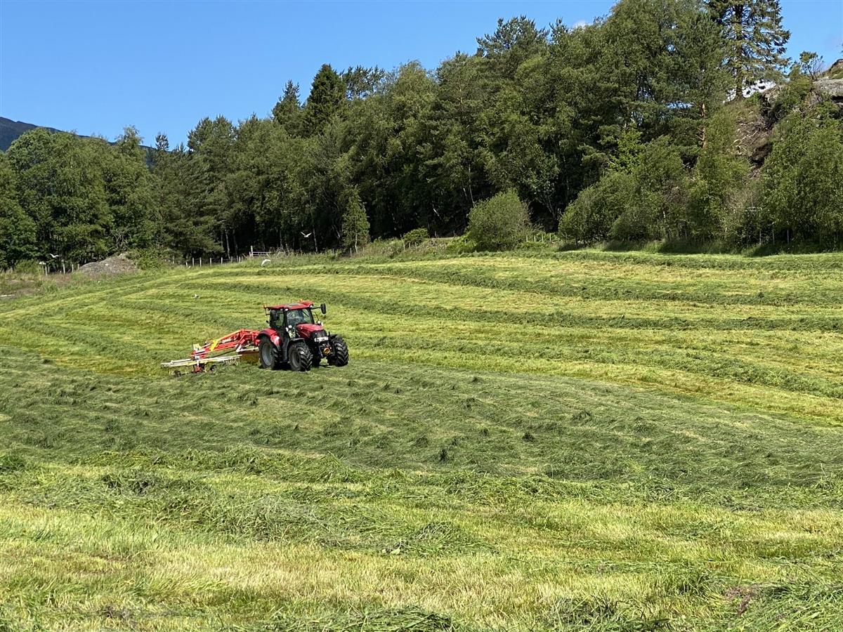 Traktor som slår gras - Klikk for stort bilde