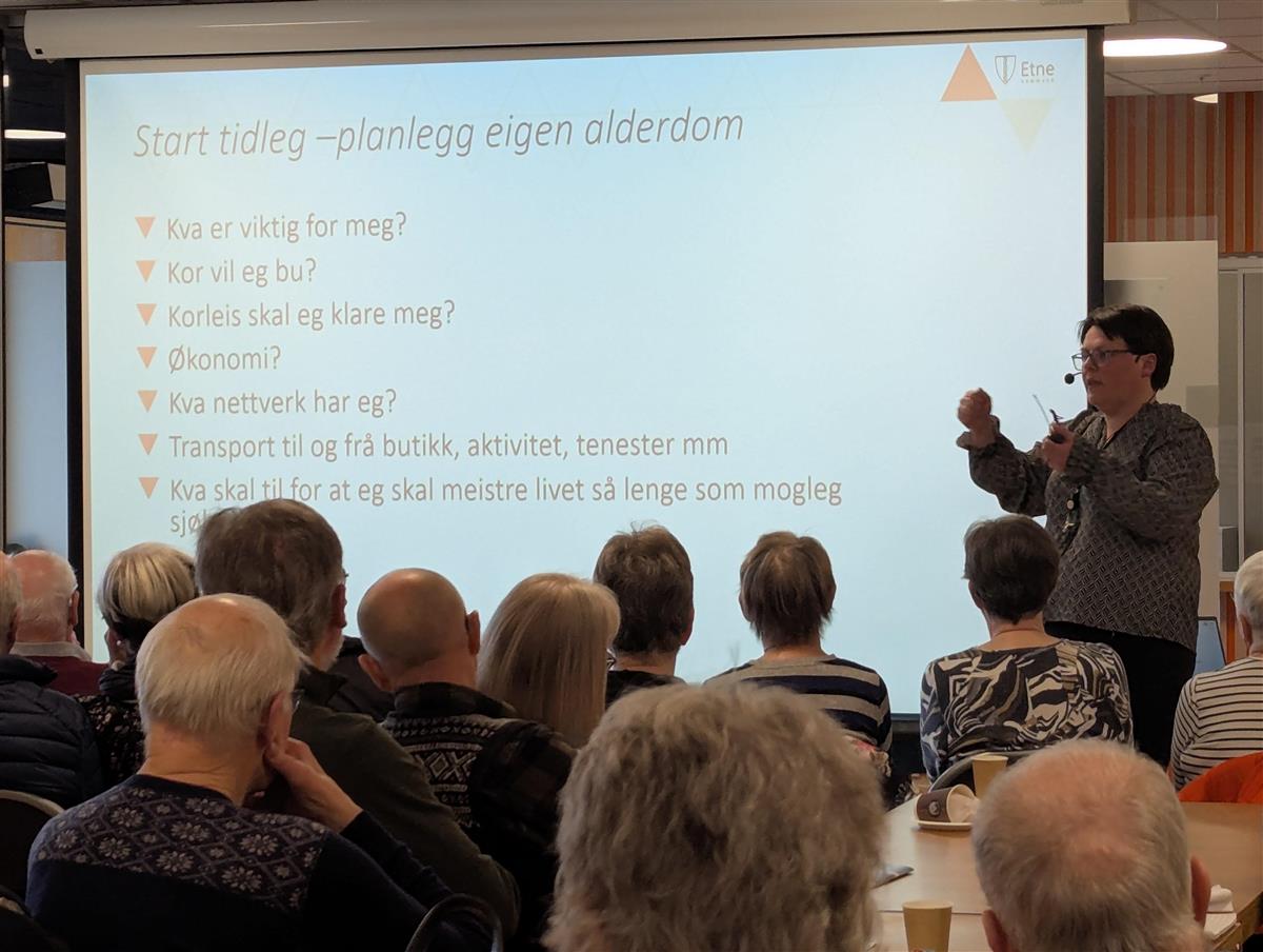 Dame som står framfor ein skjerm - Klikk for stort bilde