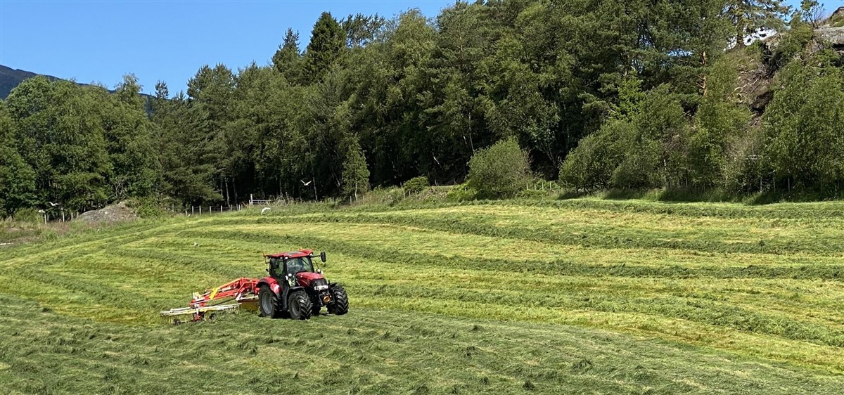 Raud traktor som slår gras - Klikk for stort bilde