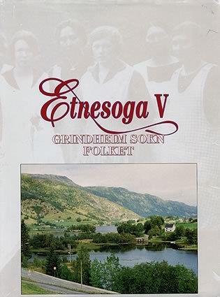 Framsida på boka Etnesoga V - Klikk for stort bilde